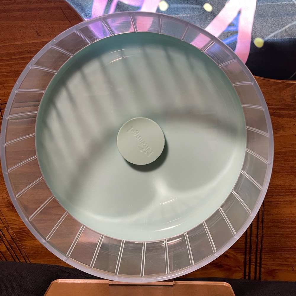 Hamster Wheel 🐹- Mint Green